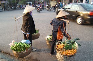 Vietnam - ESL Teacher Recruitment