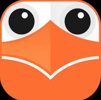 Online English Teacher K-12